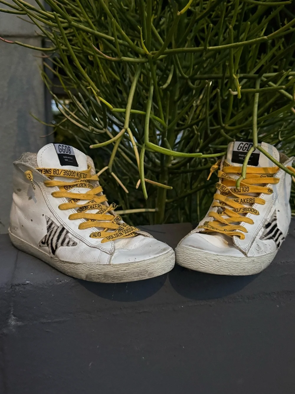 Golden Goose Leather Francy Penstar Hi-Top Sneakers (White, W-38EU/8US)